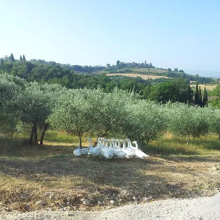 בית נופש Casa L'infinito Torchiagina